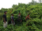 Babinsa Bersama MPA Patroli Karhutla di Selatpanjang Kota, Pastikan Tidak Ada Titik Api