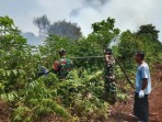 Personil Koramil Bersama Tim Gabungan Masih Berjibaku Padamkan Karhutla di Gemala Sari