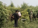 Patroli Cegah Karhutla, Babinsa Ajak Masyarakat Desa Alahair Timur Jaga Kelestarian Lingkungan
