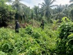 Patroli Karhutla di Rangsang, Babinsa Bersama Bhabinkamtibmas dan MPA Pastikan Wilayah Aman