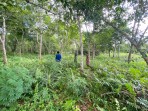 Cegah Karhutla, Babinsa dan MPA Patroli di Desa Nipah Sendanu