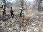 Kebakaran Lahan di Desa Banglas, Personel Koramil 02/Tebing Tinggi Ikut Berjibaku Padamkan Api