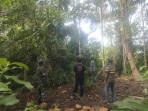Babinsa dan Warga Patroli Karhutla di Banglas, Tidak Ditemukan Titik Api
