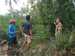 Cegah Kebakaran Hutan dan Lahan, Babinsa Bersama MPA Gelar Patroli di Desa Insit