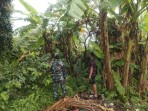 Babinsa Koramil 02/Tebing Tinggi Bersama Warga Patroli Karhutla di Desa Banglas