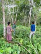 Babinsa Koramil 02/Tebing Tinggi Patroli Karlahut Bersama Masyarakat di Desa Sendaur