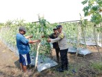 Dukung Ketahanan Pangan, Bhabinkamtibmas Polsek Sungai Sembilan Cek Pekarangan Pangan Bergizi