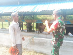 Kopda Andri Winaryo Monitoring Hewan Ternak di Desa Sendanu Darul Ikhsan