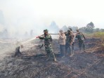 Karhutla di Gemala Sari Meranti, Tim Gabungan Lakukan Pemadaman dan Pendinginan Hari Kedua
