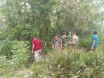 Cegah Kebakaran Hutan dan Lahan, Babinsa Bersama MPA Patroli di Desa Insit