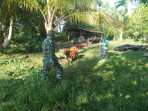 Antisipasi PMK, Serka Ernala Sembiring Terus Monitoring Ternak Sapi di Desa Binaan