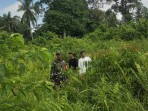 Patroli Karhutla di Desa Alai, Babinsa Ingatkan Warga Tak Buka Lahan dengan Membakar