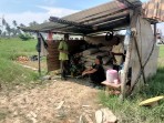Melalui Komsos, Babinsa Perkuat Kepedulian Lingkungan