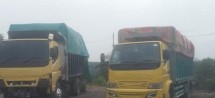 DV Bantah Terlibat Ilegal Logging di Pelalawan dan Siak Kecil