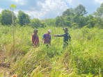 Babinsa Bersama Masyarakat Sisir Wilayah Rawan Karhutla di Desa Sendaur