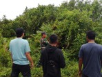 Babinsa Koramil 02 Tebingtinggi Patroli Karhutla di Selatpanjang Kota, Tak Ditemukan Titik Api