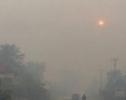 Kabut Asap di Siak Kian Mengkhawatirkan, Warga Harapkan Langkah Nyata Pemerintah
