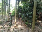 Babinsa dan MPA Patroli Karhutla di Desa Insit, Tidak Ditemukan Titik Kebakaran