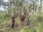 Babinsa dan MPA Patroli Karhutla di Gemala Sari, Pastikan Wilayah Aman