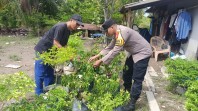 Dukung Program Pangan Nasional, Bhabinkamtibmas Cek Tanaman Cabai Milik Warga Mekar Baru