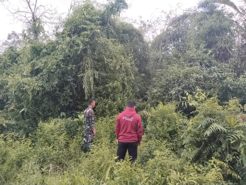 Kayran Li bilan porno